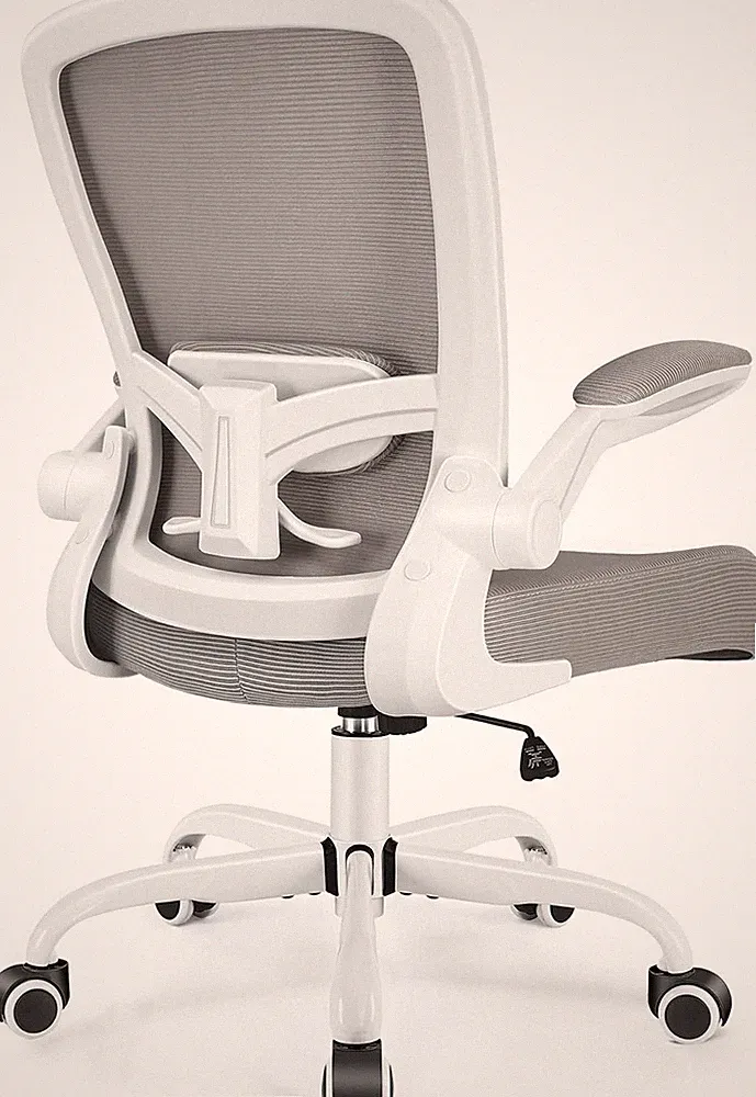 Ergonomic Mesh Office Chair with Adjustable Height and Lumbar Support - Gray