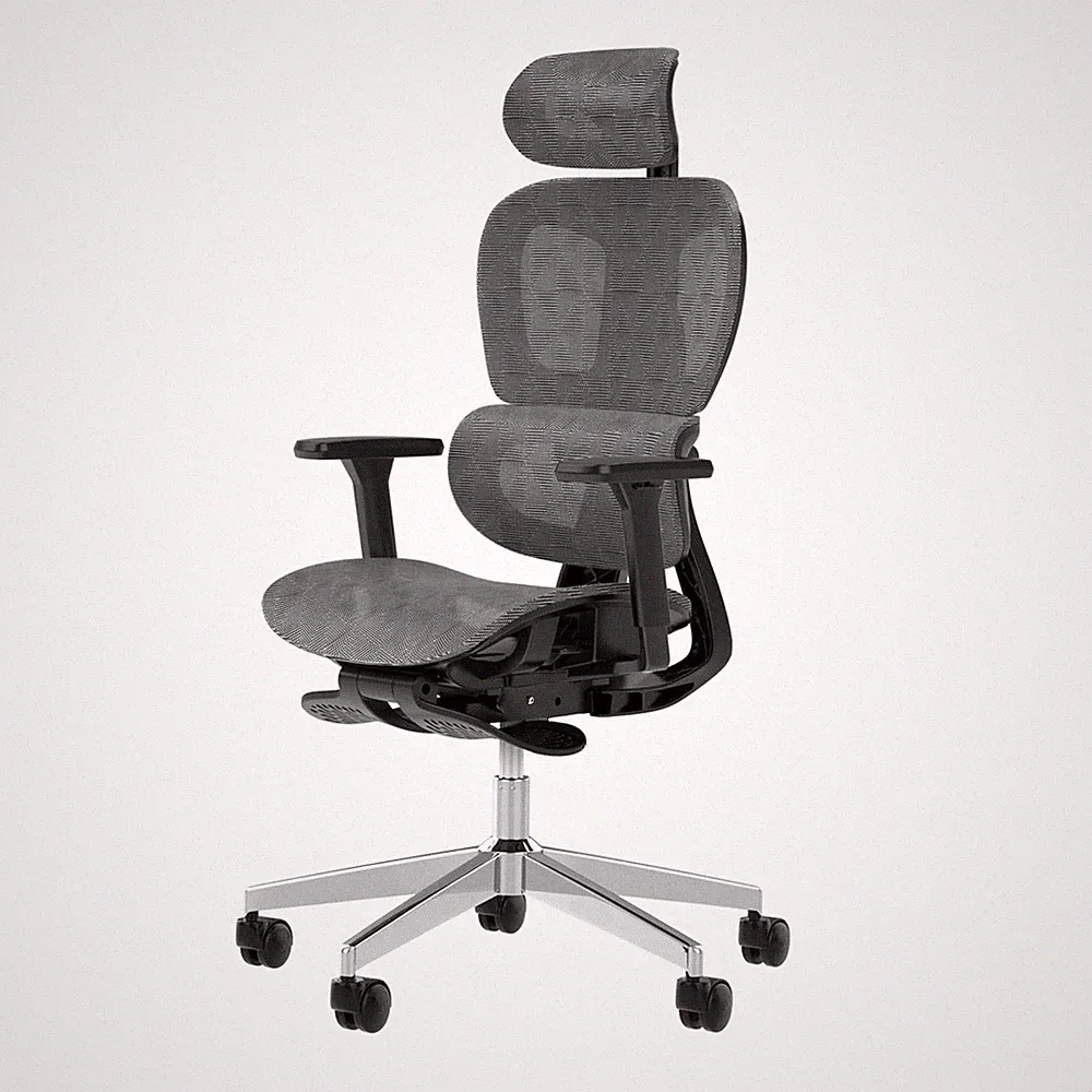 Ergonomic Office Chair, Big and Tall Desk Chair with Adjustable Lumbar Suppor...